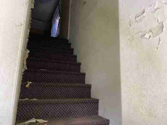 Testing again(55).jpg